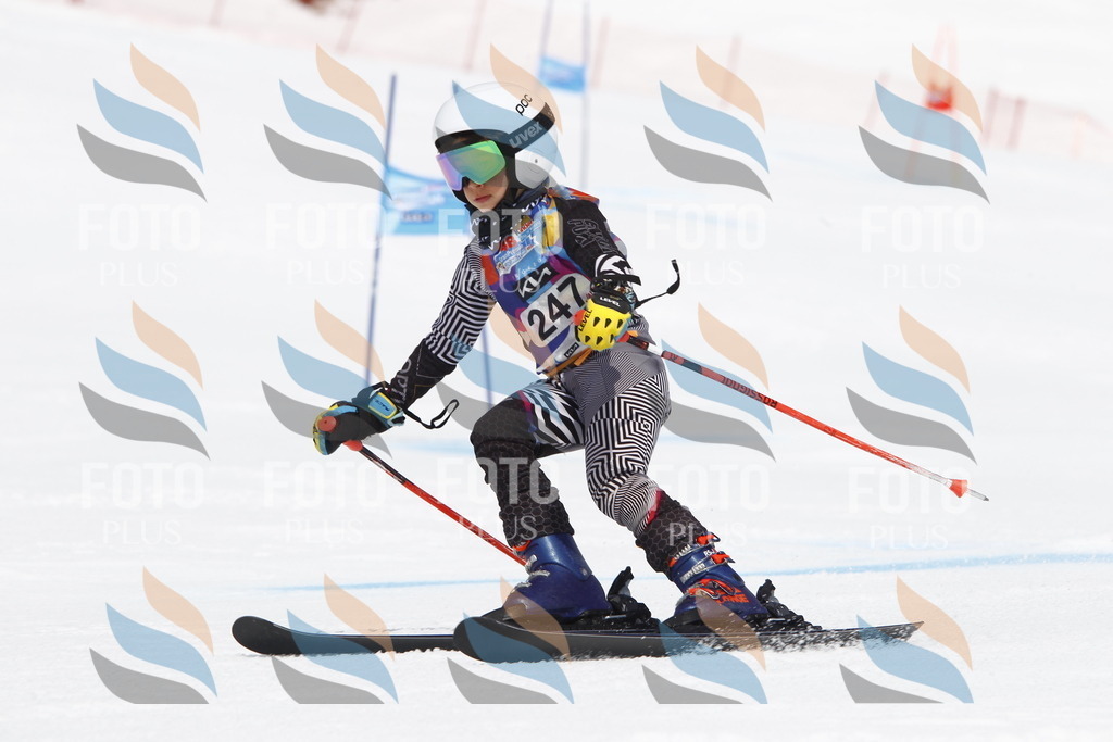 _U3G6252 | holidayphoto