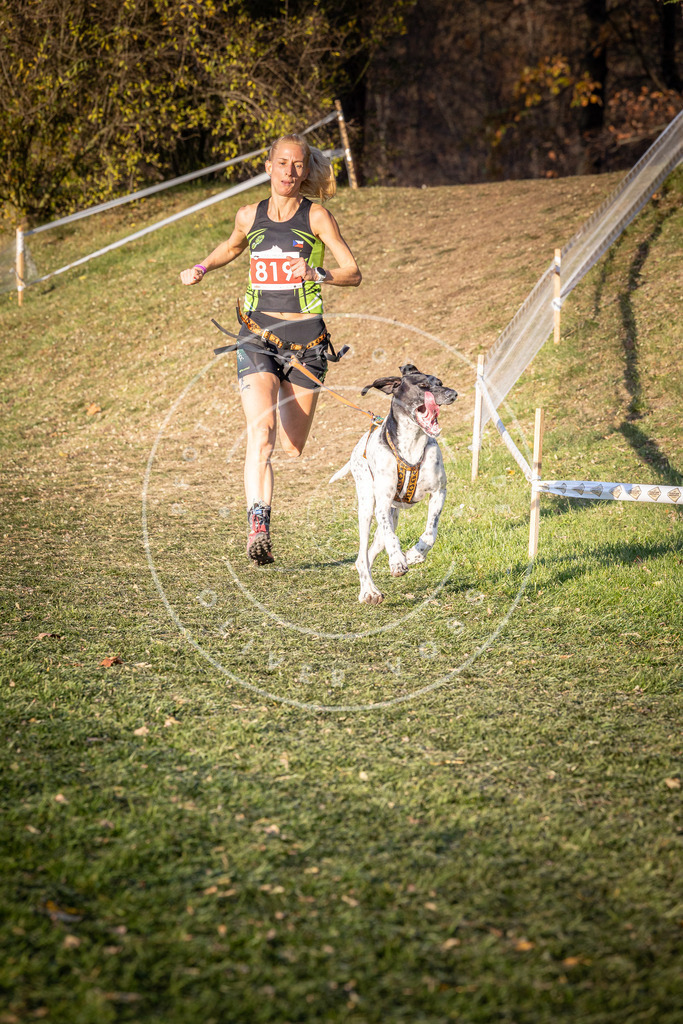 CaniXpix_0L8A0501 | Hundefotografie, Tierfotograf, Pfotenfotografie, Fotoshooting Hund, Hunde Portrait, Hundesport, Hundeportraits, Heideshooting, Hunde, Sportfotograf, Hundefotograf, Turnierhundsport, THS,  - Realisiert mit Pictrs.com