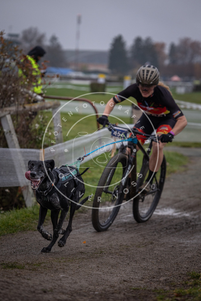 CaniXpix_0L8A1390 | Hundefotografie, Tierfotograf, Pfotenfotografie, Fotoshooting Hund, Hunde Portrait, Hundesport, Hundeportraits, Heideshooting, Hunde, Sportfotograf, Hundefotograf, Turnierhundsport, THS,  - Realisiert mit Pictrs.com