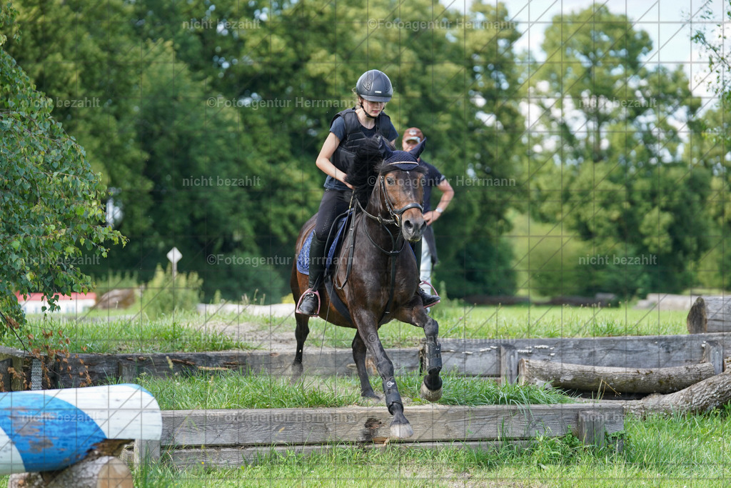 20240622-FAH08044 | Turnierfotografen Bayern, Reitsportbilder aus dem Geländekurs mit Felix Etzel auf dem Gut Waitzacker 2024