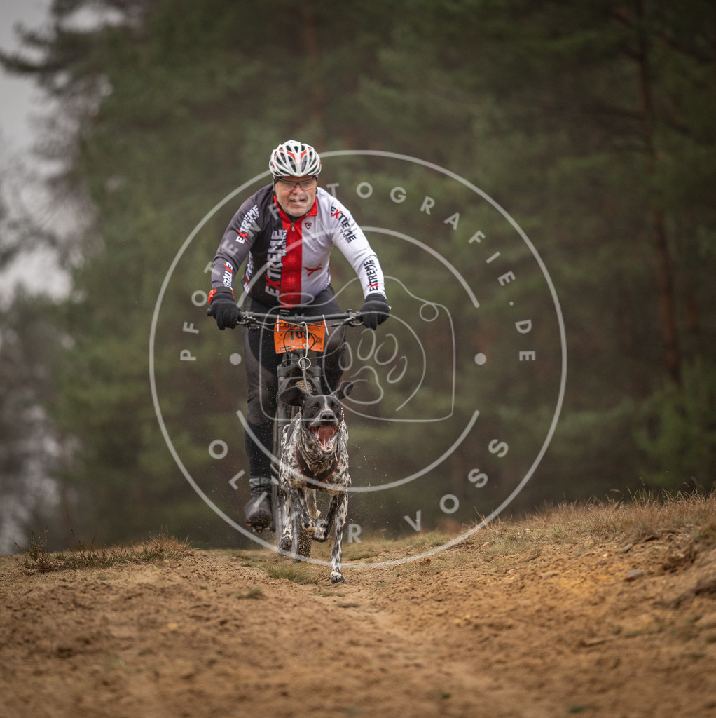 Pfotenfotografie_DV3A3262 | Hundefotografie, Tierfotograf, Pfotenfotografie, Fotoshooting Hund, Hunde Portrait, Hundesport, Hundeportraits, Heideshooting, Hunde, Sportfotograf, Hundefotograf, Turnierhundsport, THS,  - Realisiert mit Pictrs.com