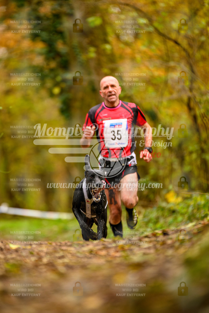 MompixPhotography_Bischwiller24_SA_Canicross-1 | PayLife