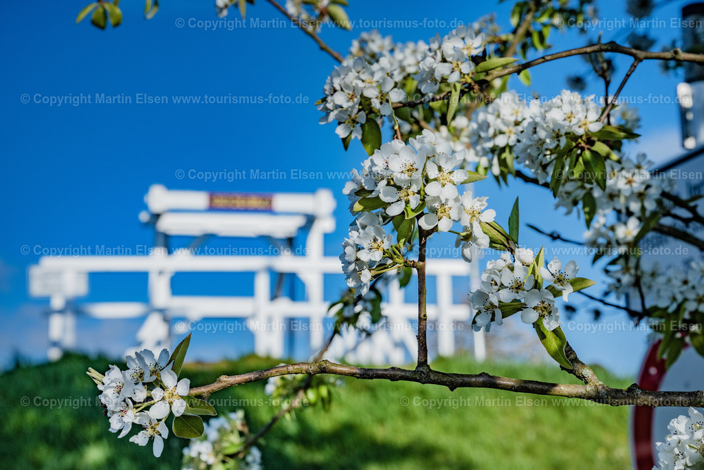 Birnen Blüte_ELS_9634250422 | Fotos aus den Touristenorten aus Norddeutschland. - Realisiert mit Pictrs.com