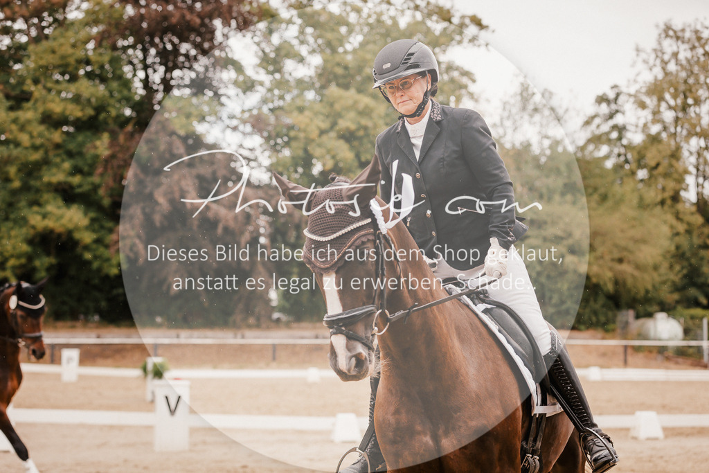 3I6A6443 | Stimmungsvolle Portraits und Reitsportfotografie im Ruhrgebiet und im Münsterland.

Pferdefotografie, Hundefotografie, Tierfotografie, Reportagen, Portraits von Tier und Mensch, Turnierfotografie in Bochum, Recklinghausen, Marl, Haltern am See, Dülmen.. - Realisiert mit Pictrs.com