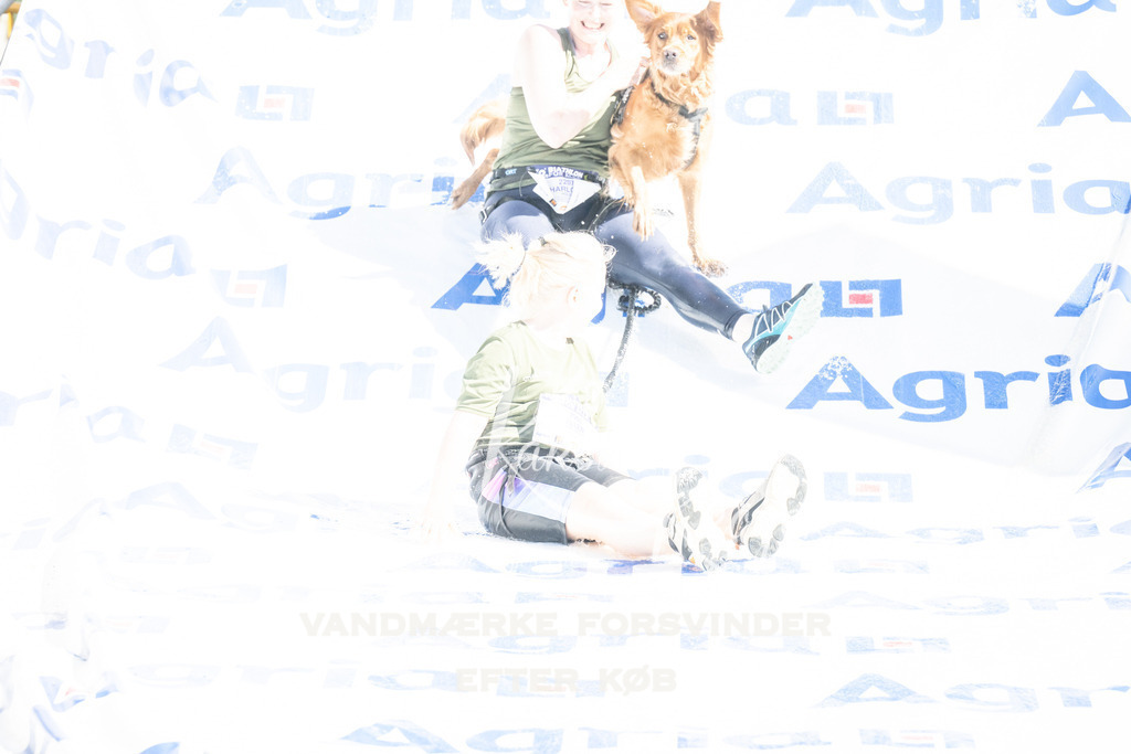 1135_ZZ92634 | kk-dogfotos