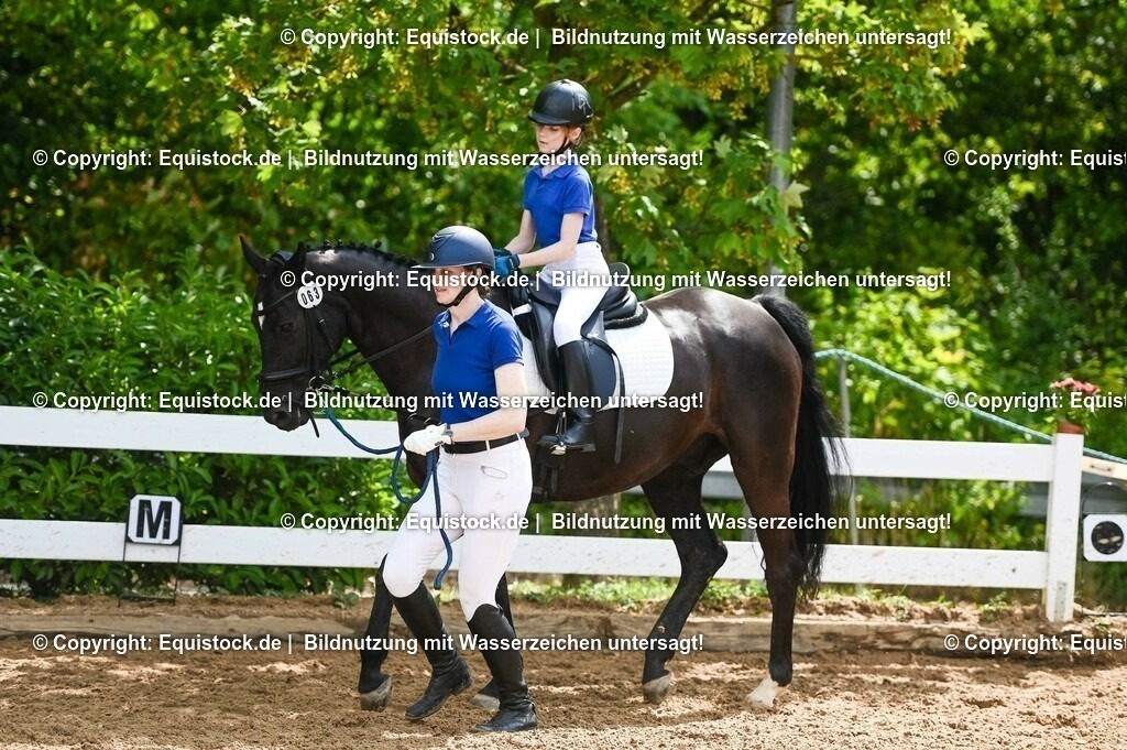 20230716_11_Führzügel-WB_0032 | equistock