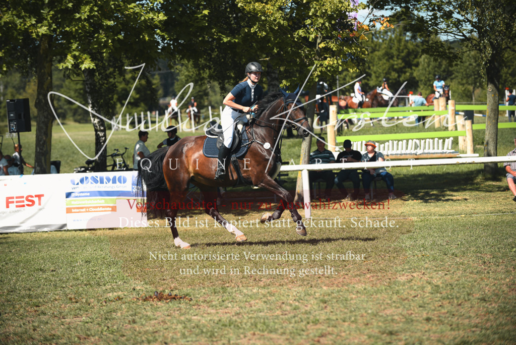 DSC_7005 | Pferde- und Turnierfotografie in Westsachsen. Pferdeportraits, Auftragszeichnungen und intuitive Kunst.
