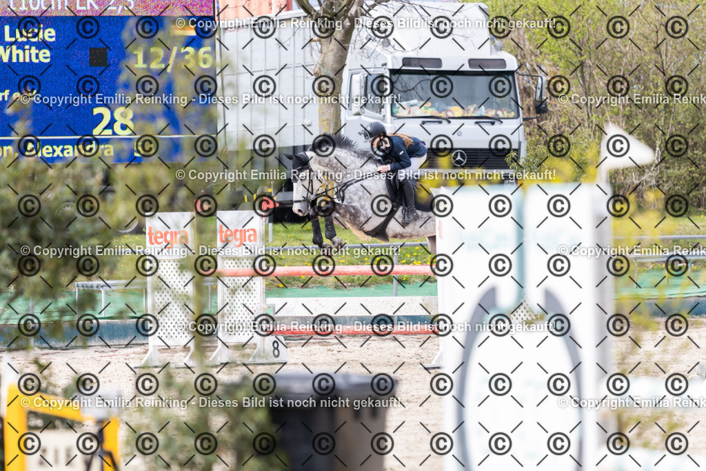 CL5A7501 | Emilia Reinking Fotografie - Realisiert mit Pictrs.com