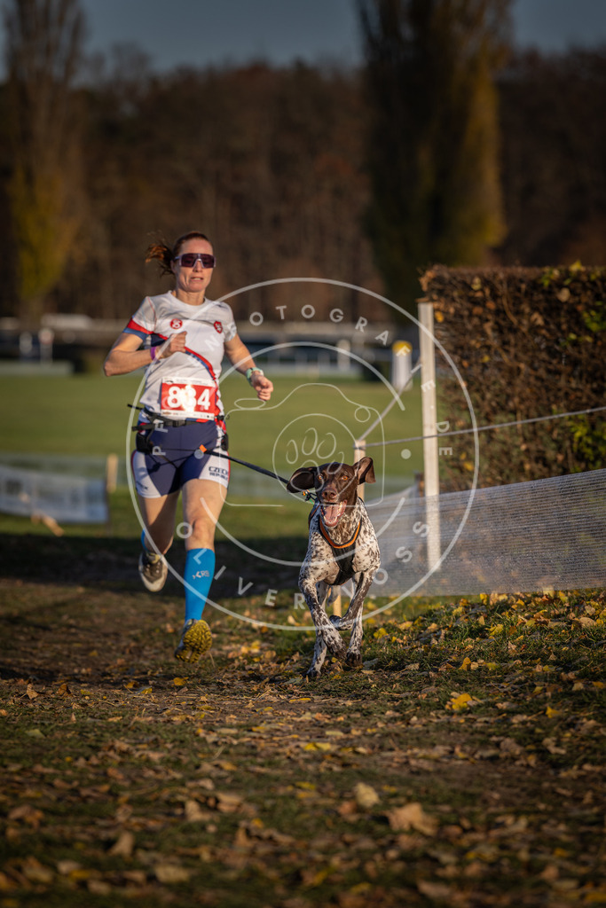 CaniXpix_DV3A3492 | Hundefotografie, Tierfotograf, Pfotenfotografie, Fotoshooting Hund, Hunde Portrait, Hundesport, Hundeportraits, Heideshooting, Hunde, Sportfotograf, Hundefotograf, Turnierhundsport, THS,  - Realisiert mit Pictrs.com