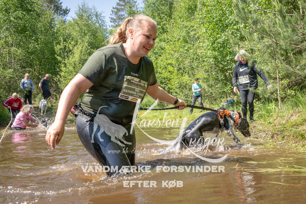 1518DKK992872 | kk-dogfotos