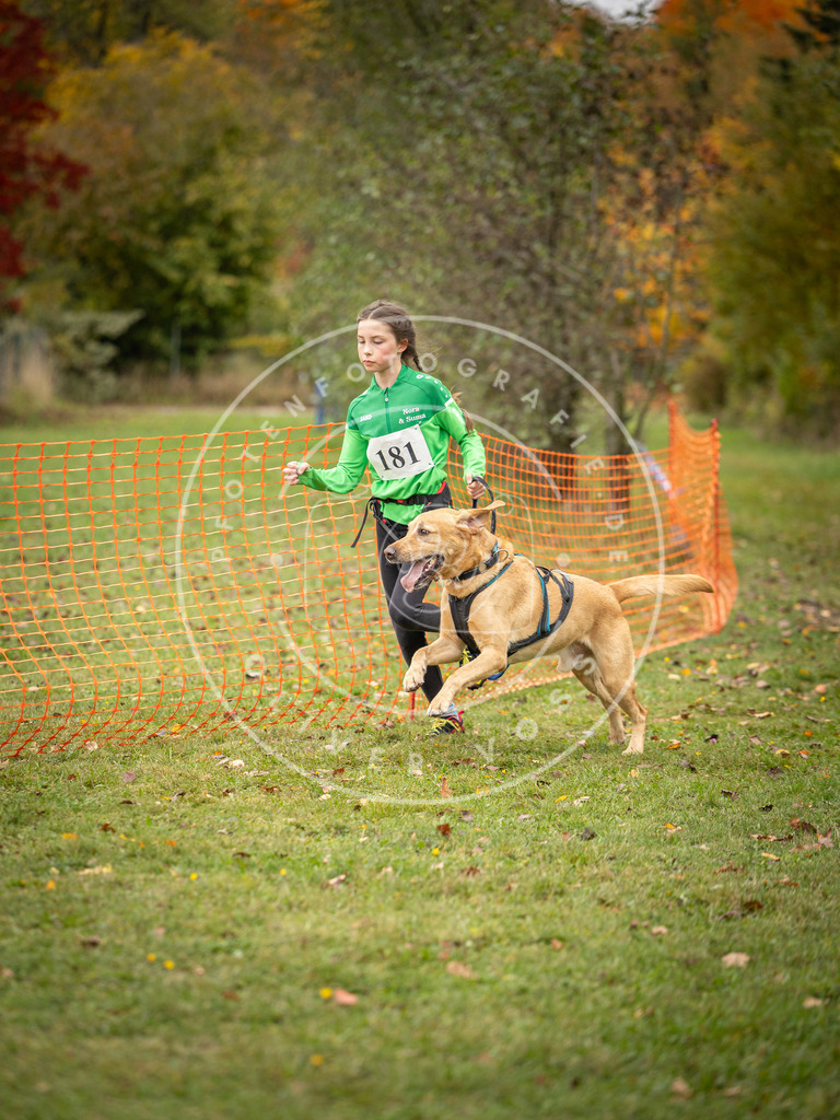 Pfotenfotografie_DV3A3774 | Hundefotografie, Tierfotograf, Pfotenfotografie, Fotoshooting Hund, Hunde Portrait, Hundesport, Hundeportraits, Heideshooting, Hunde, Sportfotograf, Hundefotograf, Turnierhundsport, THS,  - Realisiert mit Pictrs.com