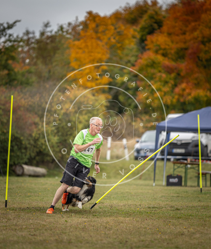 Pfotenfotografie_DV3A6493 | Hundefotografie, Tierfotograf, Pfotenfotografie, Fotoshooting Hund, Hunde Portrait, Hundesport, Hundeportraits, Heideshooting, Hunde, Sportfotograf, Hundefotograf, Turnierhundsport, THS,  - Realisiert mit Pictrs.com