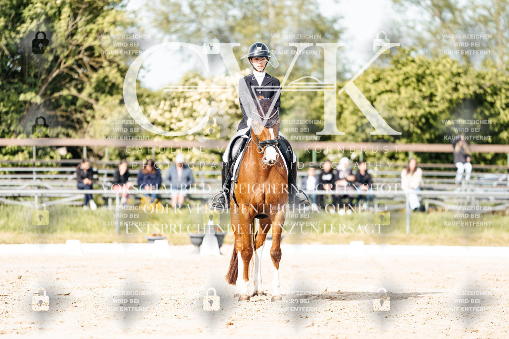 CK900280 | Turnierfotografie Pferdefotografie Trier Rheinland-Pfalz Pferdesport Reitsport Tierfotografie Sportfotografie Pferdevideo Pferdevideografie Equestrianvideography equestrianphotography  - Realisiert mit Pictrs.com