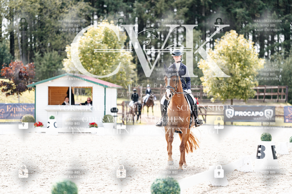 CK900951 | Turnierfotografie Pferdefotografie Trier Rheinland-Pfalz Pferdesport Reitsport Tierfotografie Sportfotografie Pferdevideo Pferdevideografie Equestrianvideography equestrianphotography  - Realisiert mit Pictrs.com