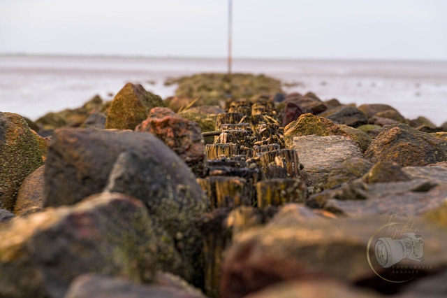 _DSC9051 | Shop für Prints Landschaftsfotografie Sächsische Schweiz Naturfotografie in Thüringen Fotos vom Findlingspark Nochten Kloster Sankt Marienstern Bilder Festung Königstein PanoramaRhododendronpark Kromlau FotogalerSchleswig-Holstein Küstenlandschaften