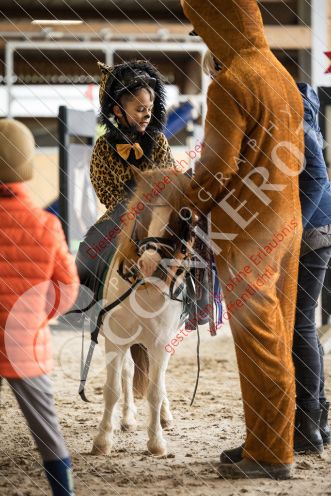 IMG_2031 | Sport-, Event- und Tierfotos in Profiqualität. Einfach auswählen, bestellen und herunterladen. Dein Moment – perfekt festgehalten.