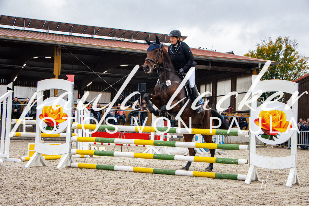 IMG_4159 | Erleben Sie dynamische Sport- und emotionale Tierfotografie in Süddeutschland mit Fotos von Paula. Spezialisiert auf Pferde- und Hundefotografie sowie Sportevents. Kontaktieren Sie mich für einzigartige und ausdrucksstarke Bilder Ihrer besonderen Momente. - Realisiert mit Pictrs.com