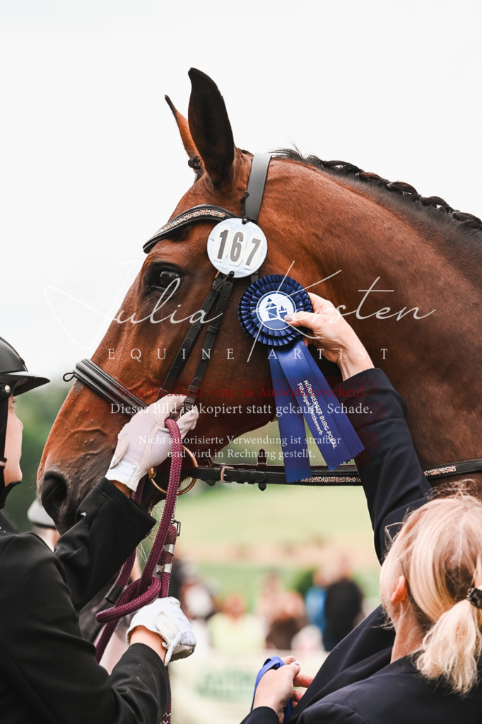 DSC_7465 | Pferde- und Turnierfotografie in Westsachsen. Pferdeportraits, Auftragszeichnungen und intuitive Kunst.
