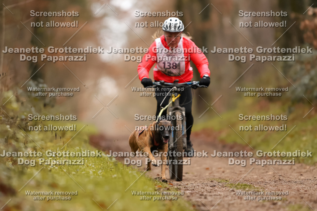 Dog Paparazzi - Speedhunter Mannheim  2025-389 | Dog Paparazzi Jeanette Grottendiek Fotografie & Videografie