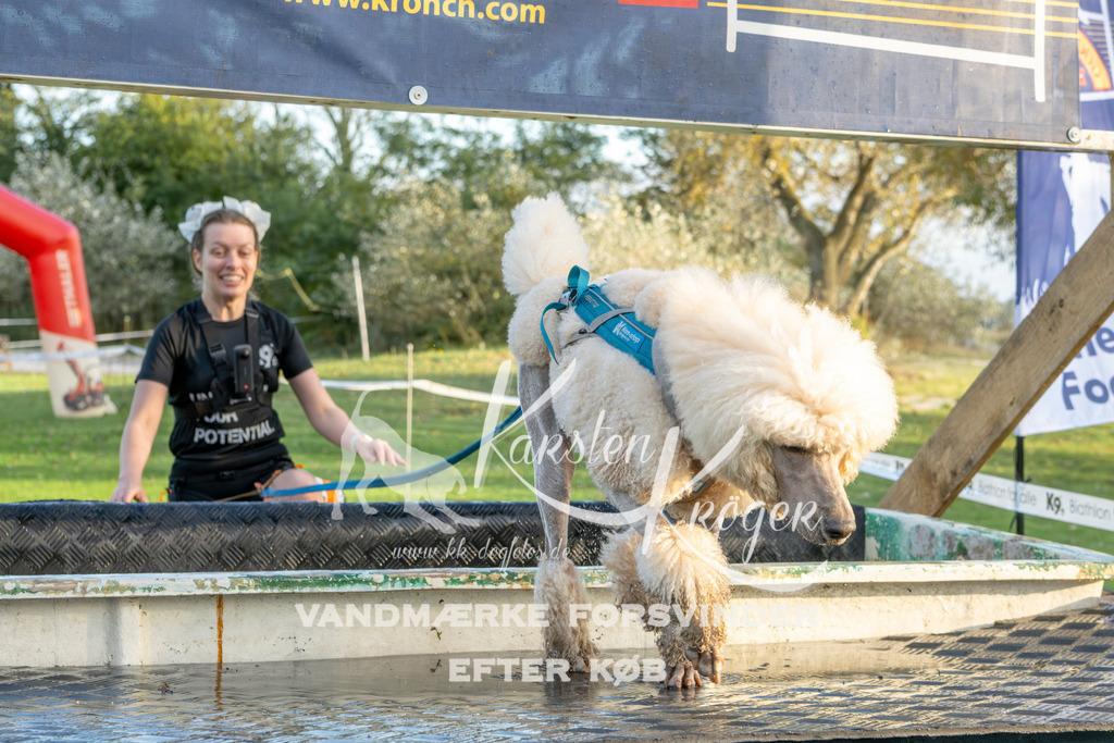 1644_ZZ99032 | kk-dogfotos