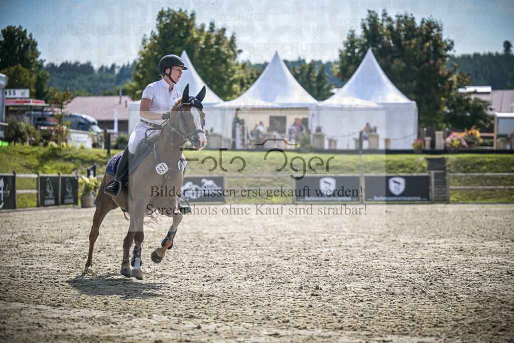 DOS_8676 | Entdecke hochwertige Reitturnierfotos von Foto Oger. Professionell, emotional und authentisch – jetzt Lieblingsmomente im Shop bestellen.Deutschlandweite Turnierfotografie. - Realisiert mit Pictrs.com