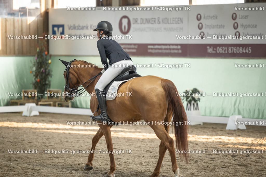 _D5A3326 | Emotionale Pferde- & People-Fotografie rund um Heidelberg, Leimen & Umgebung. Natürliche Fotos von Pferd, Mensch & Familie. Jetzt Termin sichern!