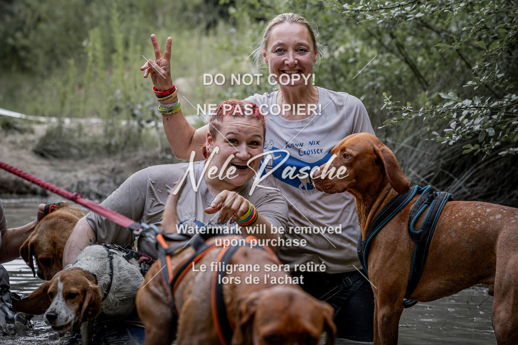 nelerasche_so1145-1230_344 | nelerasche