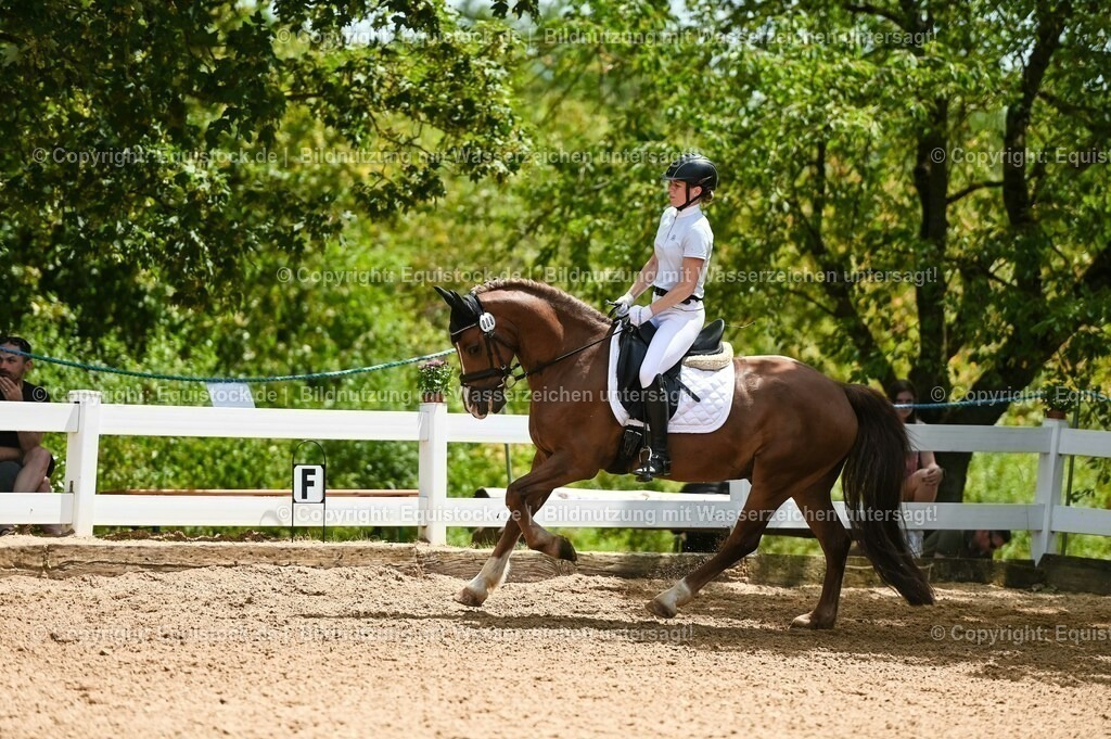 20230715_05_Dressurprüfung Kl.A++_0222 | equistock