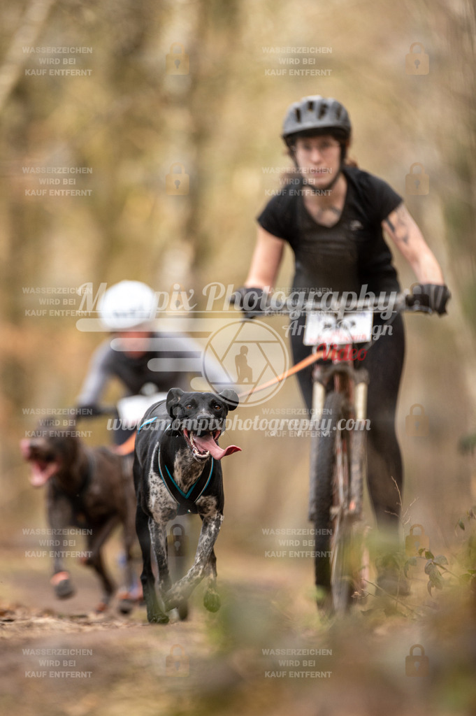 SPA_2023_SAM_Scooter-12 | PayLife