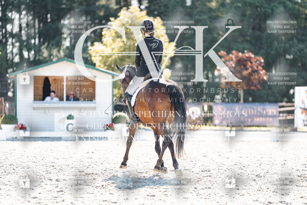 CK906234 | Turnierfotografie Pferdefotografie Trier Rheinland-Pfalz Pferdesport Reitsport Tierfotografie Sportfotografie Pferdevideo Pferdevideografie Equestrianvideography equestrianphotography  - Realisiert mit Pictrs.com