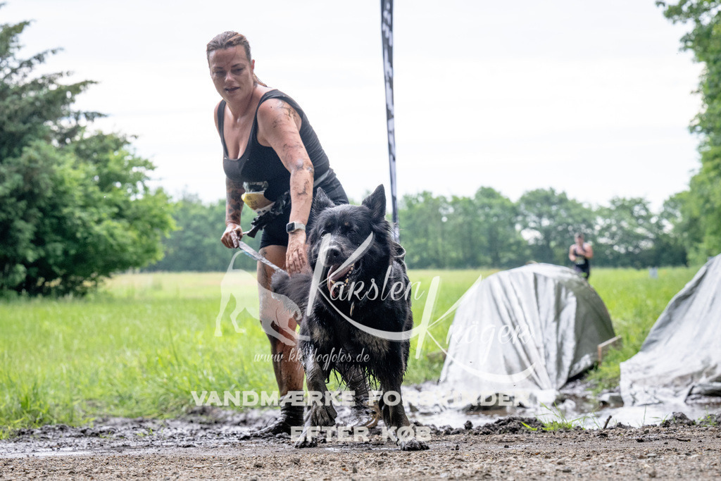 0946_ZZ91726 | kk-dogfotos