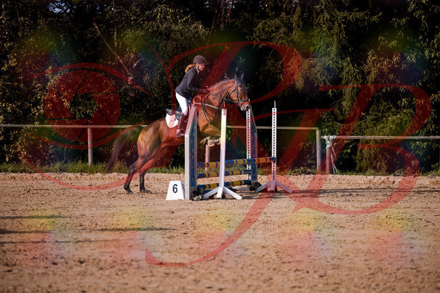 2026_10_03_Siefer-Hof_161057_Z81_90813147 | Professionelle Reitsport-, Turnier- und Eventfotografie von Robert Broda. Galerien mit ausgewählten und bearbeiteten Bildern direkt online ansehen und bestellen.