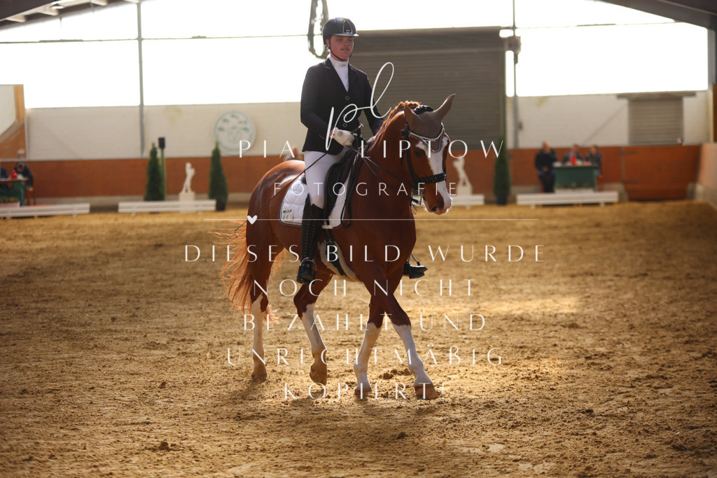 IMGT9718 | pl-fotografie