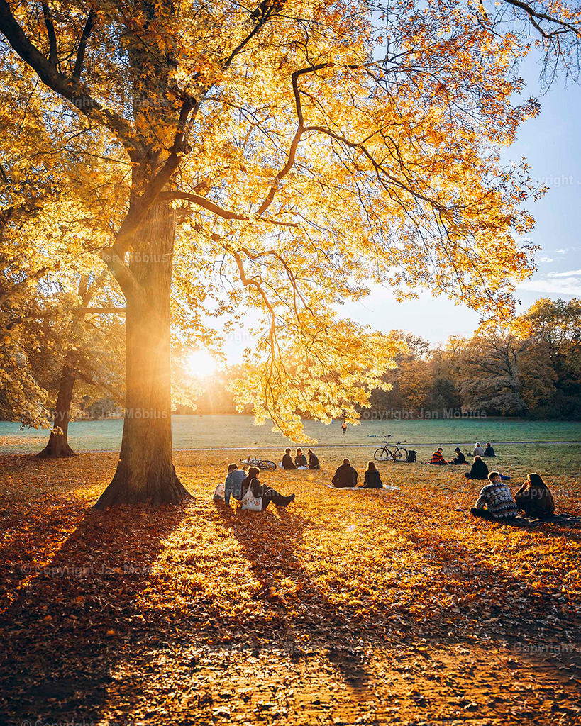_DSC4966 | Der Clara-Zetkin-Park in Leipzig ist ein beliebter Ort für Natur, Sport und Erholung – perfekt für Spaziergänge, Jogging und entspannte Stunden im Grünen. - Realisiert mit Pictrs.com