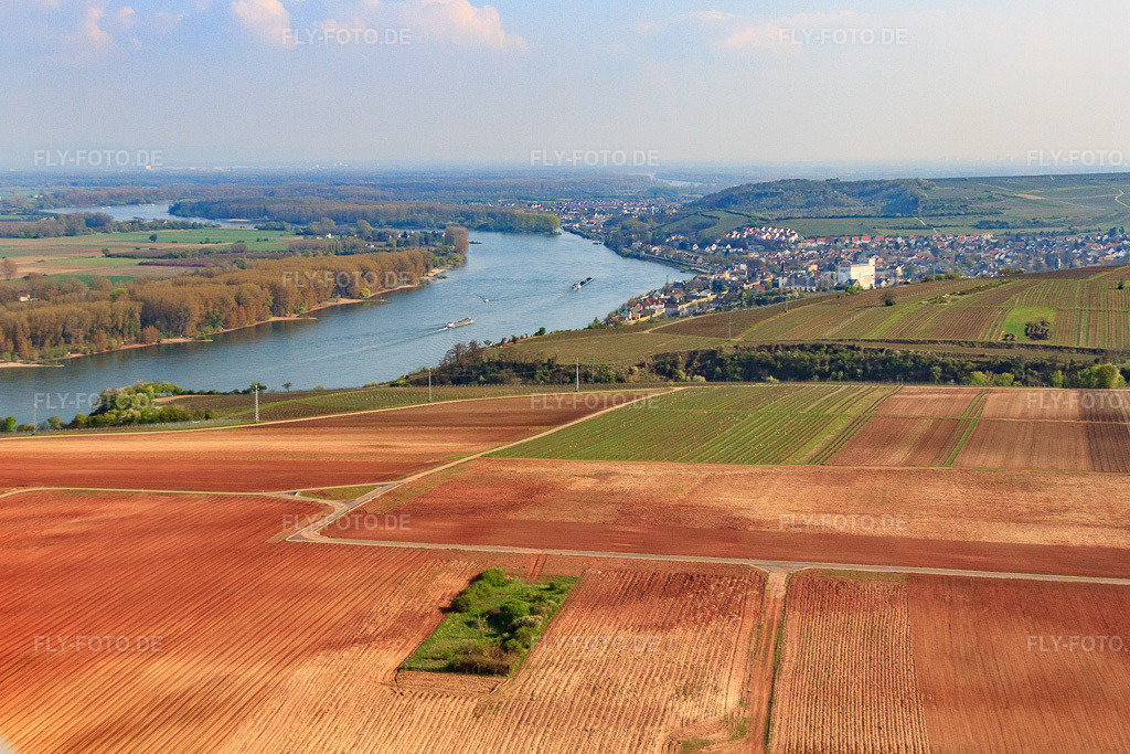 Luftbild: Rhein bei Nierstein in Nierstein im Bundesland Rheinland-Pfalz in Deutschland.Foto: IMG_49798.jpg vom 13.04.2012 durch Werner Riehm/FLY-FOTO.deAuflösung des Originals: 3726 x 2484 px