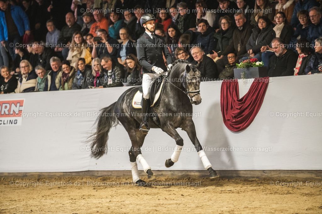 20240302_Hengstvorstellung_Marbach_TOMsPiC_0184 | equistock