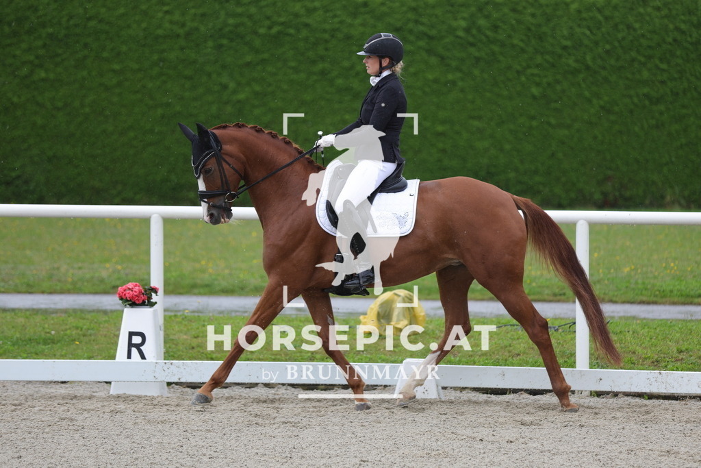 0P6A0130 | Willkommen bei Brunnmayr - Design & Fotografie – Ihrem Spezialisten für Reitturniere und Pferdeveranstaltungen in Oberösterreich, Salzburg und Bayern! Seit über 17 Jahren sind wir leidenschaftlich dabei.