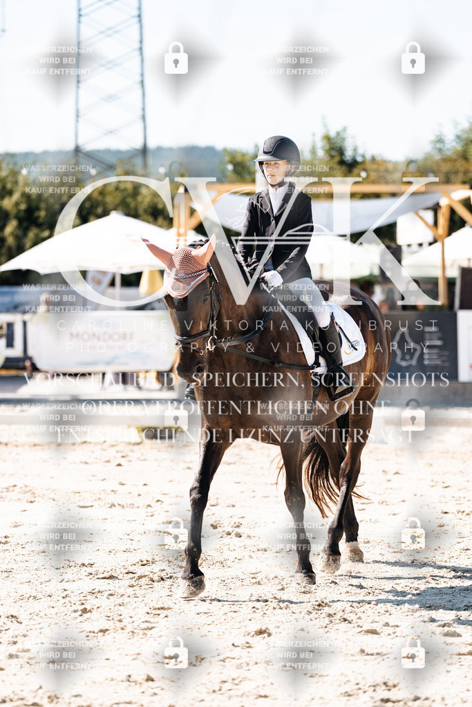 CK902982 | Turnierfotografie Pferdefotografie Trier Rheinland-Pfalz Pferdesport Reitsport Tierfotografie Sportfotografie Pferdevideo Pferdevideografie Equestrianvideography equestrianphotography  - Realisiert mit Pictrs.com