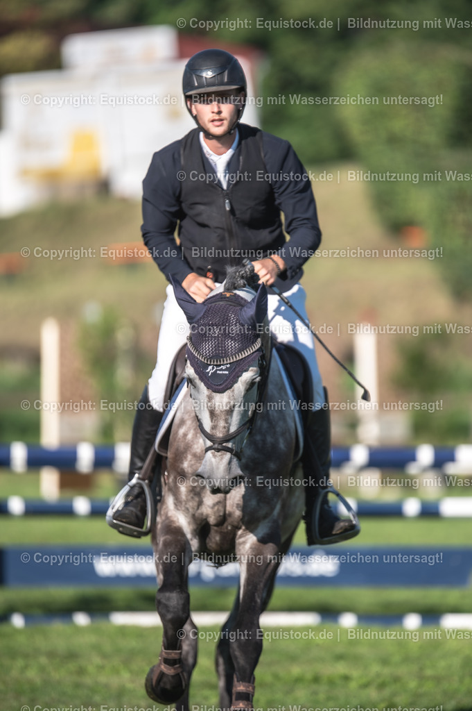 20230908_14-15_Springpferde-A_0023 | equistock