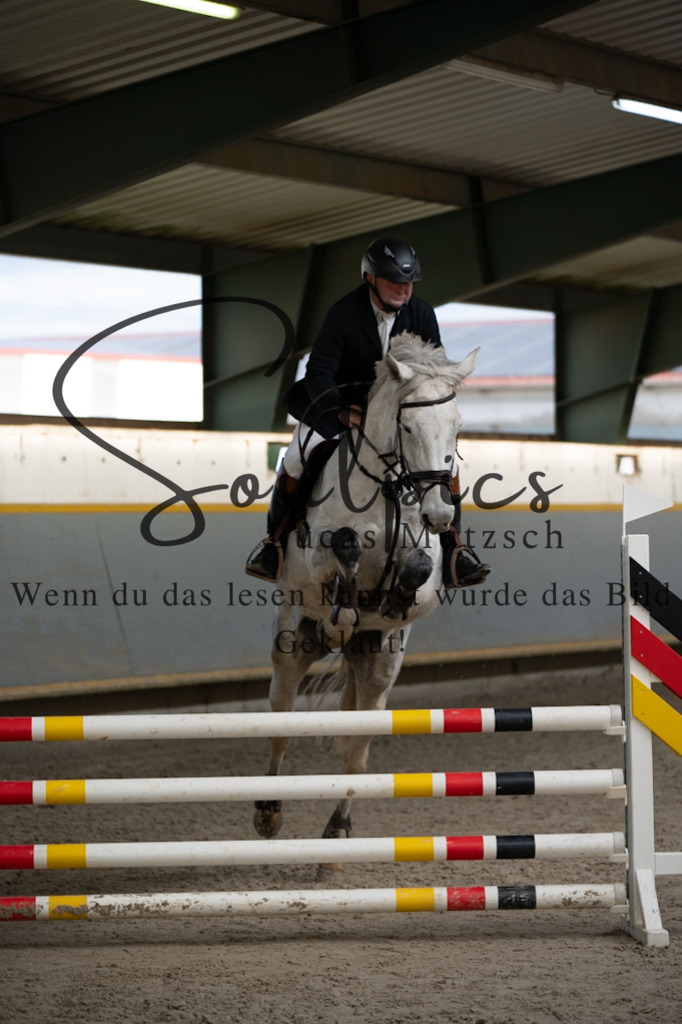 A7V02472 | Pferdefotograf