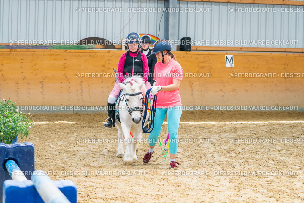 DSC00700 | Pferdegrafie