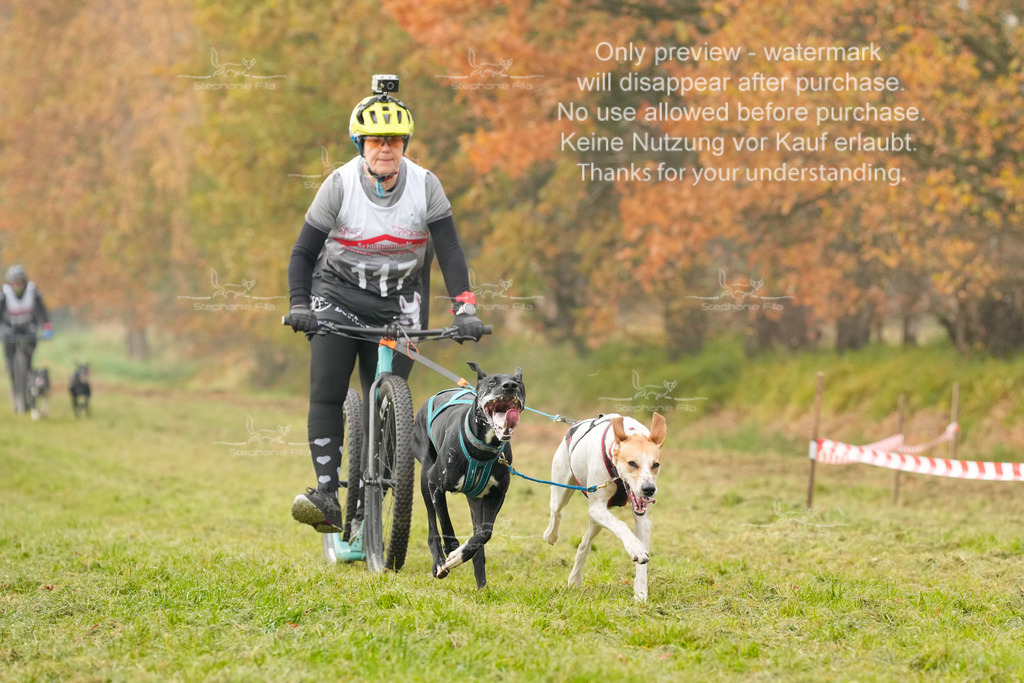 Visbeck_Sa_DS2DR2-113 | stephaniefillaphotographie - Realisiert mit Pictrs.com