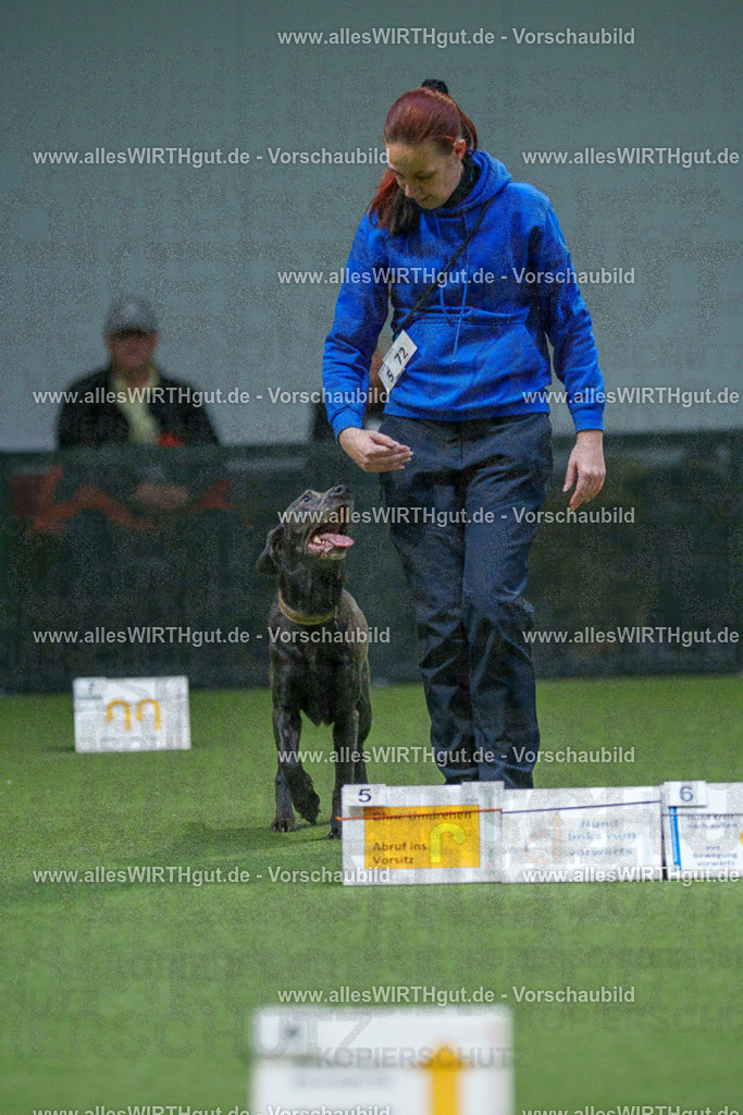 7R507007 | Professionelle Tierfotografie in Mönchengladbach von Daniel Wirth (allesWIRTHgut). Liebevolle & natürliche Bilder von Hunden & Katzen für unvergessliche Erinnerungen.