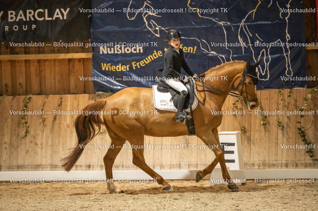 _D5A0368 | Emotionale Pferde- & People-Fotografie rund um Heidelberg, Leimen & Umgebung. Natürliche Fotos von Pferd, Mensch & Familie. Jetzt Termin sichern!