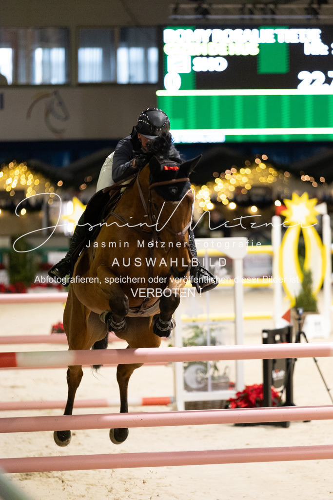 126A7356 | jasminmetznerfotografie