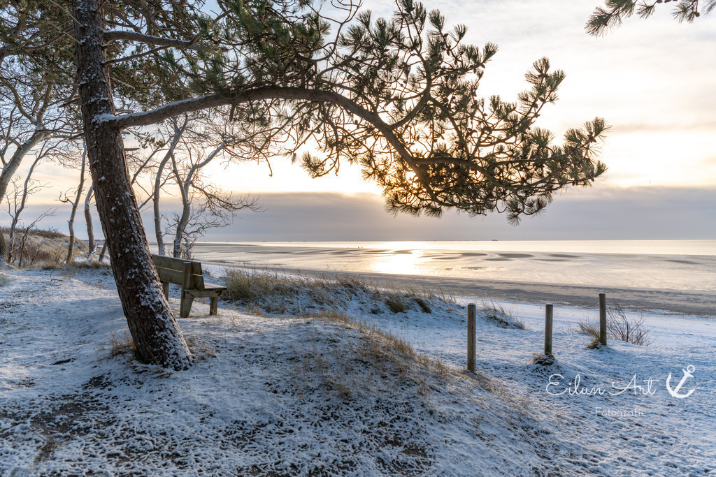 20260103-EAF_8067-2 | Eilun-Art-Fotografie Levke Martens, ihre Fotografin für Immobilien- und Landschaftsfotografie auf Föhr, Föhrer Motive als Poster, Leinwand, hinter Acrylglas oder stelle dir deinen eigenen Monatskalender zusammen, mit nur einem Klick