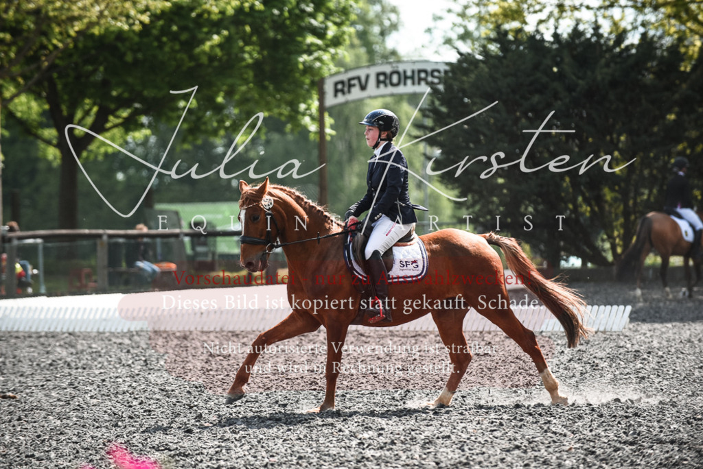 DSC_9059 | Pferde- und Turnierfotografie in Westsachsen. Pferdeportraits, Auftragszeichnungen und intuitive Kunst.