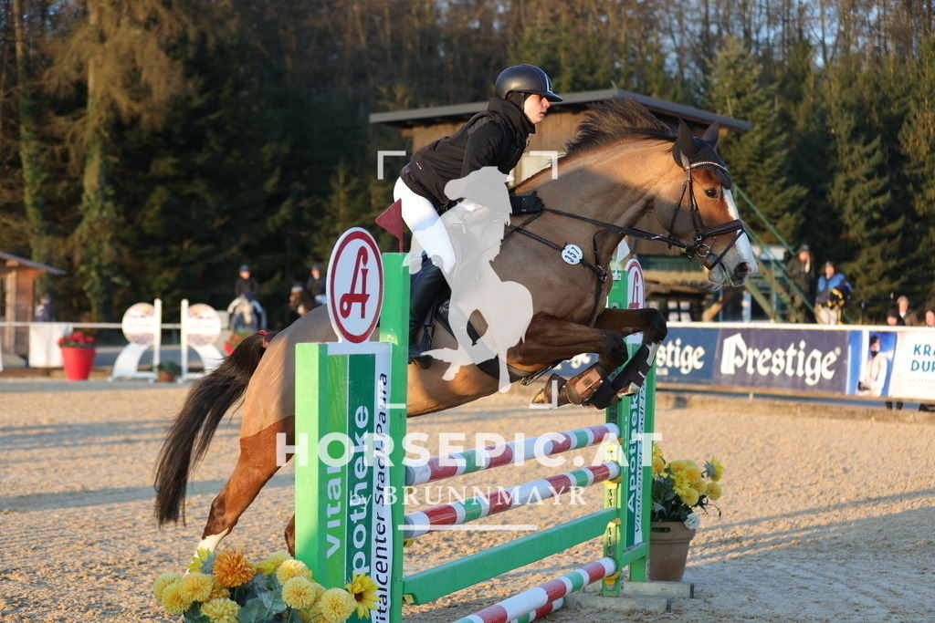 0P6A8657 | Willkommen bei Brunnmayr - Design & Fotografie – Ihrem Spezialisten für Reitturniere und Pferdeveranstaltungen in Oberösterreich, Salzburg und Bayern! Seit über 17 Jahren sind wir leidenschaftlich dabei.