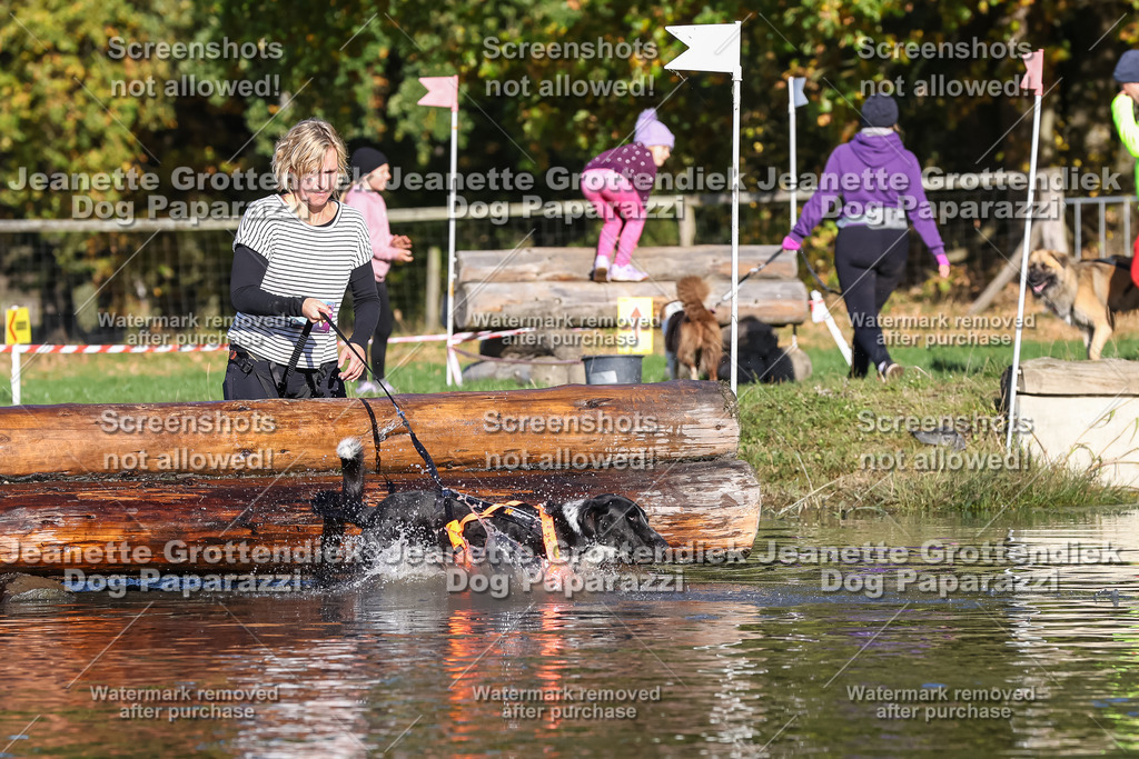 Dog Paparazzi - Strongdog 10-25-8766 | Dog Paparazzi Jeanette Grottendiek Fotografie & Videografie - Realisiert mit Pictrs.com