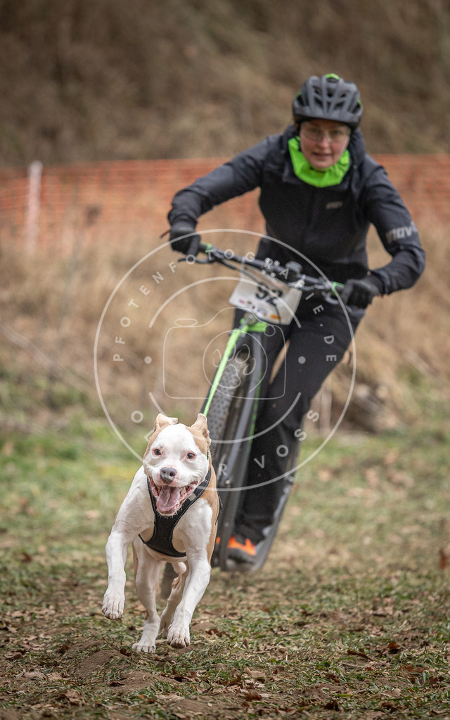Pfotenfotografie_DV3A6764 | Hundefotografie, Tierfotograf, Pfotenfotografie, Fotoshooting Hund, Hunde Portrait, Hundesport, Hundeportraits, Heideshooting, Hunde, Sportfotograf, Hundefotograf, Turnierhundsport, THS,  - Realisiert mit Pictrs.com